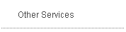 Other Services